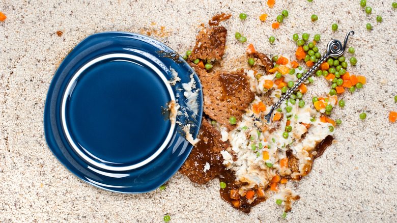 wet food smashed into carpet