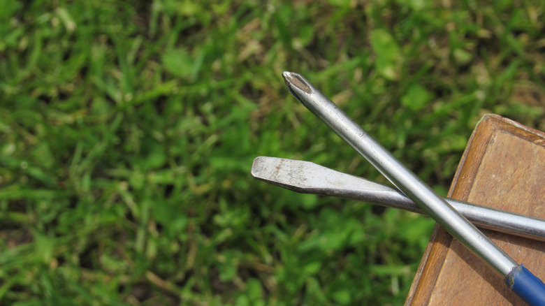 Close up of two screwdrivers with green grass background