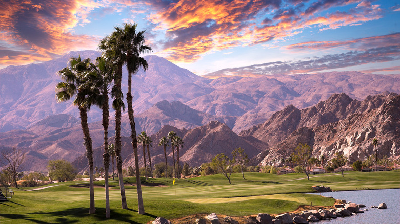Palm Springs desert