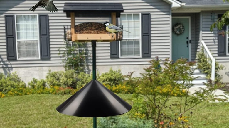 A Garbuildman squirrel baffle wrapped around a bird feeder pole