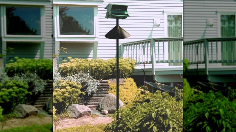 A Woodlink Audubon wrap around squirrel baffle on a bird feeder pole