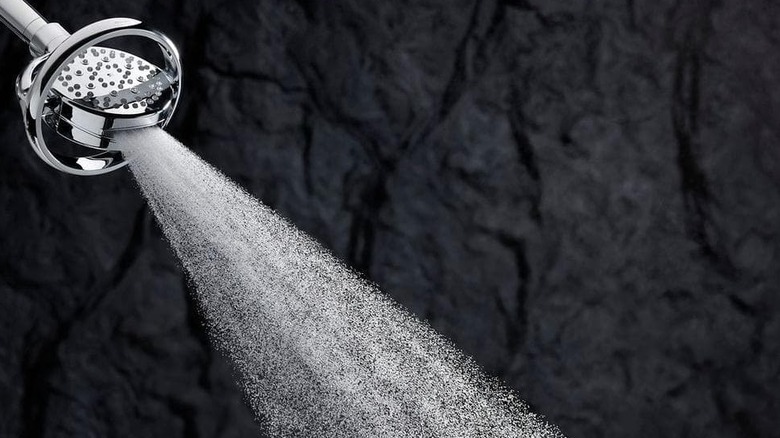 Kohler showerhead