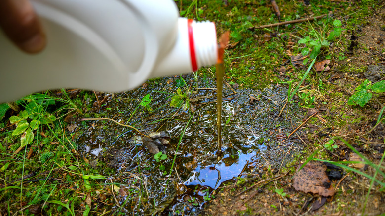 Pouring old oil on the ground