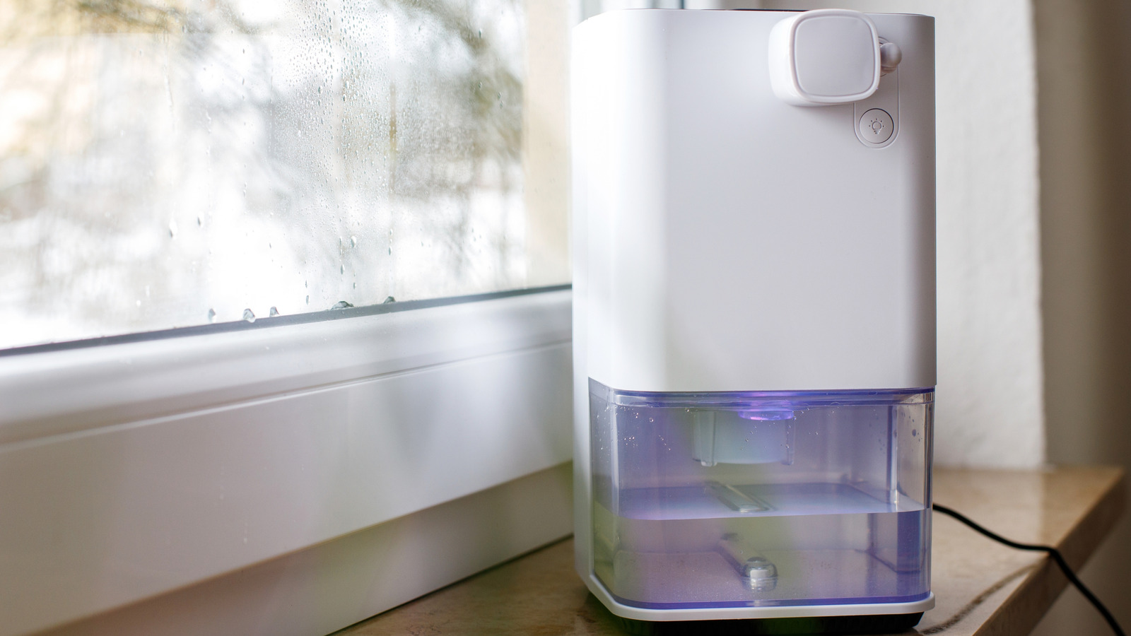 Dehumitifiers The Top 8 Affordable Dehumidifiers You Can Buy On Amazon, Based On User ...