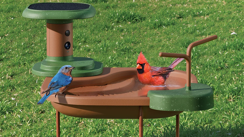brown green tiered smart birdbath