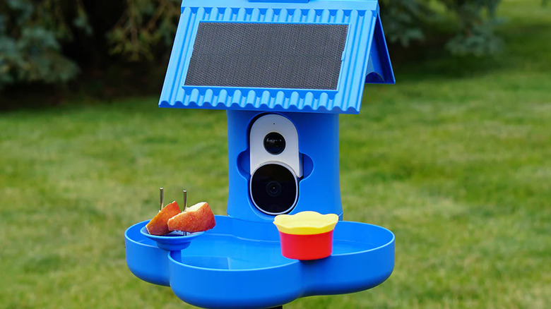 bright blue birdbath on pole