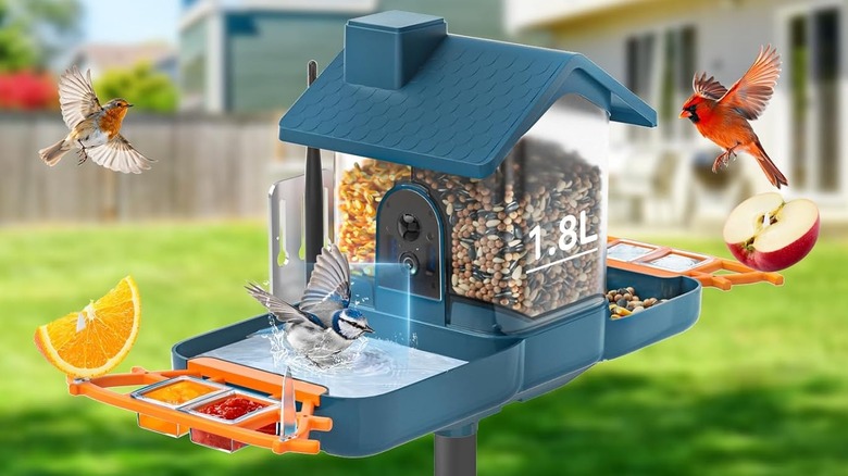 double birdbath and feeder product