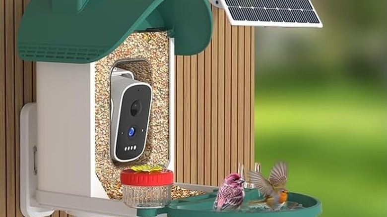 smart bird bath and feeder