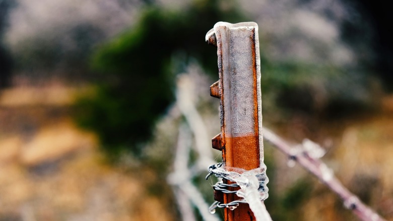 t-post wrapped in wire in sunny field