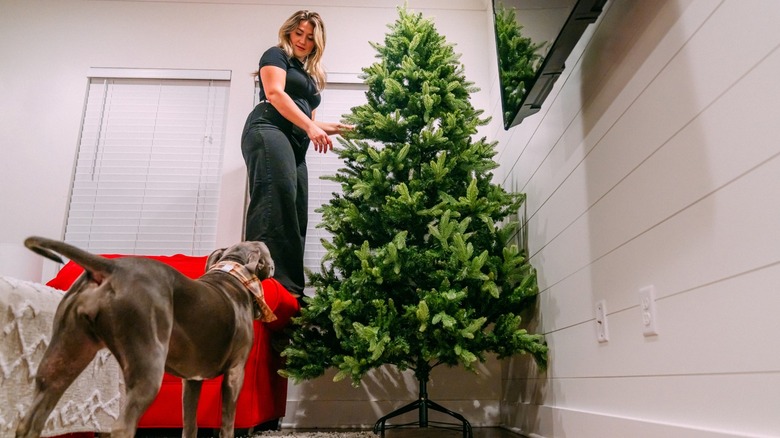 Woman and a dog put together a Christmas tree