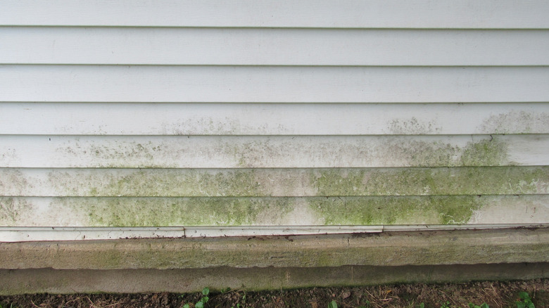 dirt and grime buildup on vinyl siding