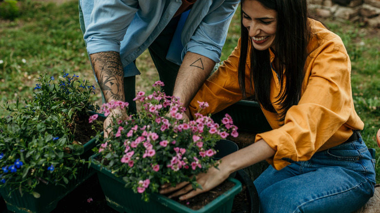A couple planting flowers in their garden