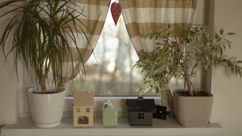 A few mini ceramic homes arranged on a windowsill with gingham curtains and houseplants.