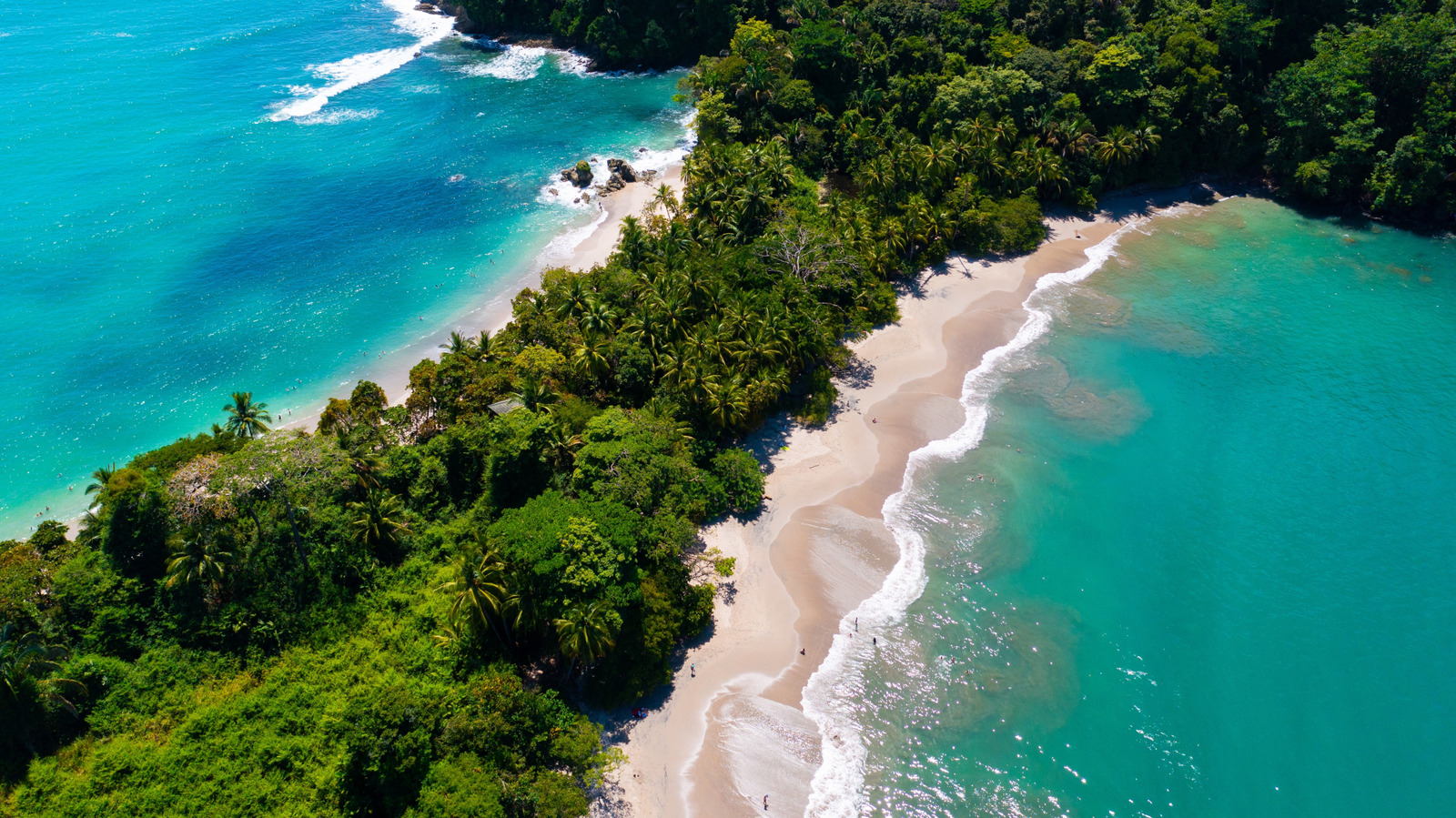 Beware of This Tropical Fruit Tree