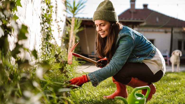 A smiling woman works in her fall garden
