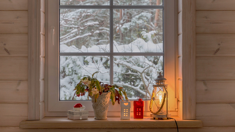 Blooming Christmas cactus on windowsill with decorations and snowy trees in background.