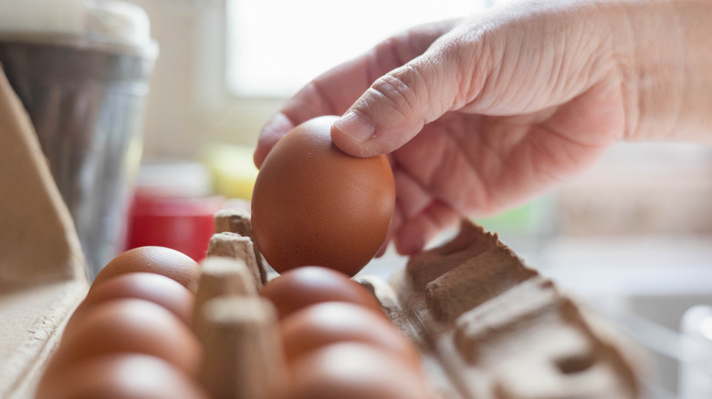 Hand grabbing an egg from carton