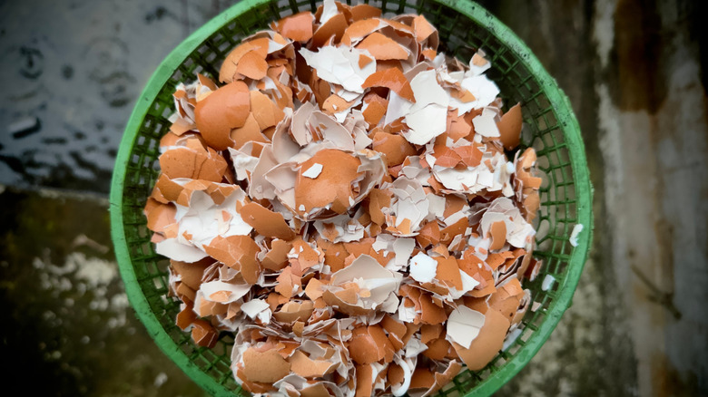 Crushed egg shells in green basket