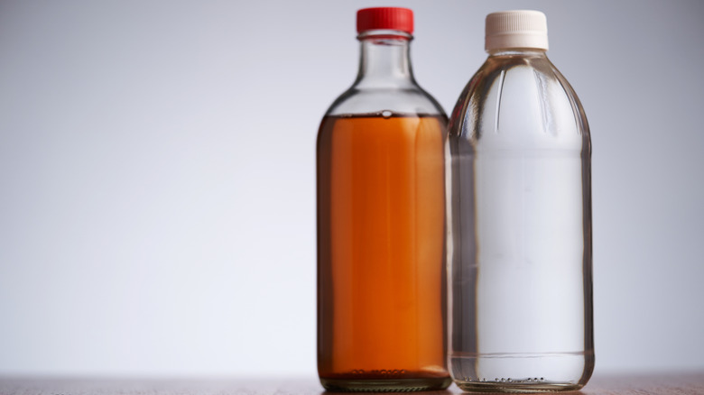 Bottle of apple cider vinegar and regular vinegar side by side