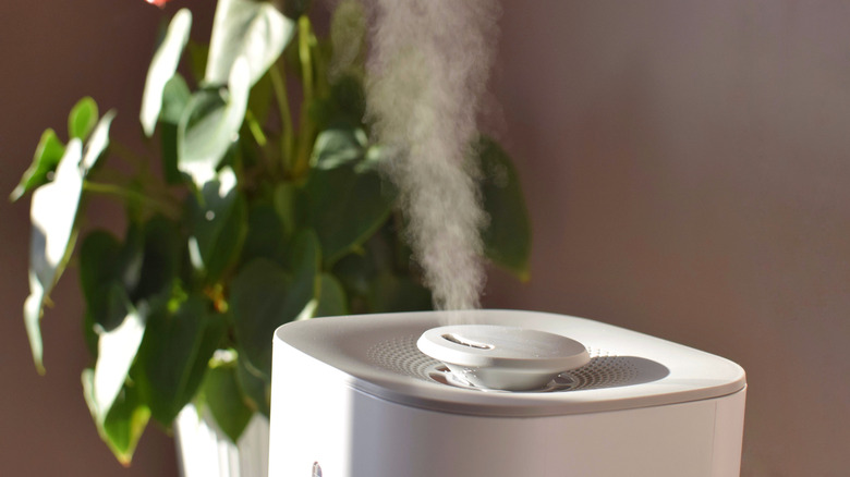 A humidifier running in a sunlit room with a houseplant behind it.