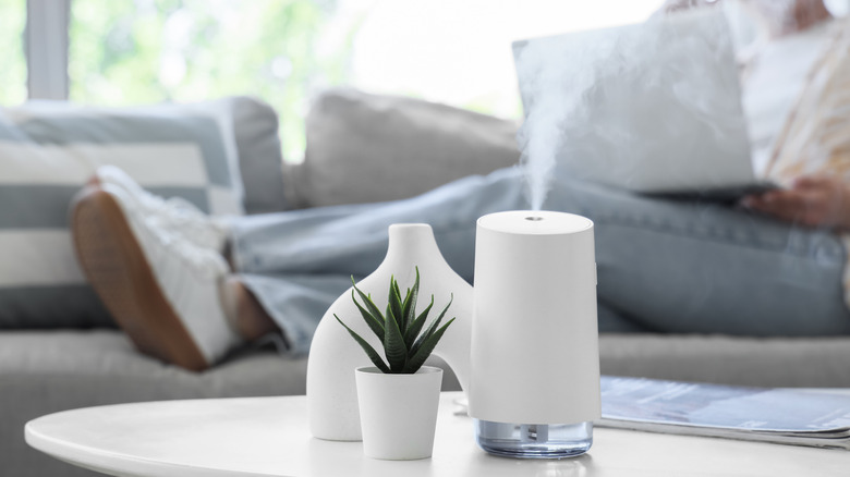 A humidifier set on a coffee table beside a houseplant and vase with a person on the couch working on a laptop in the background.