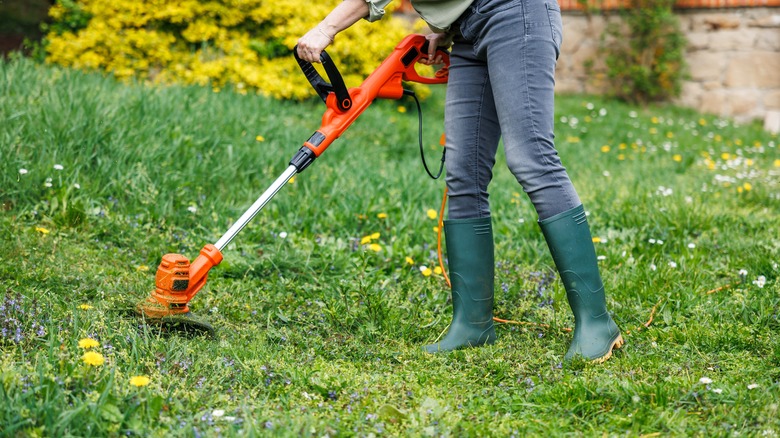 A person uses an electric weed trimmer