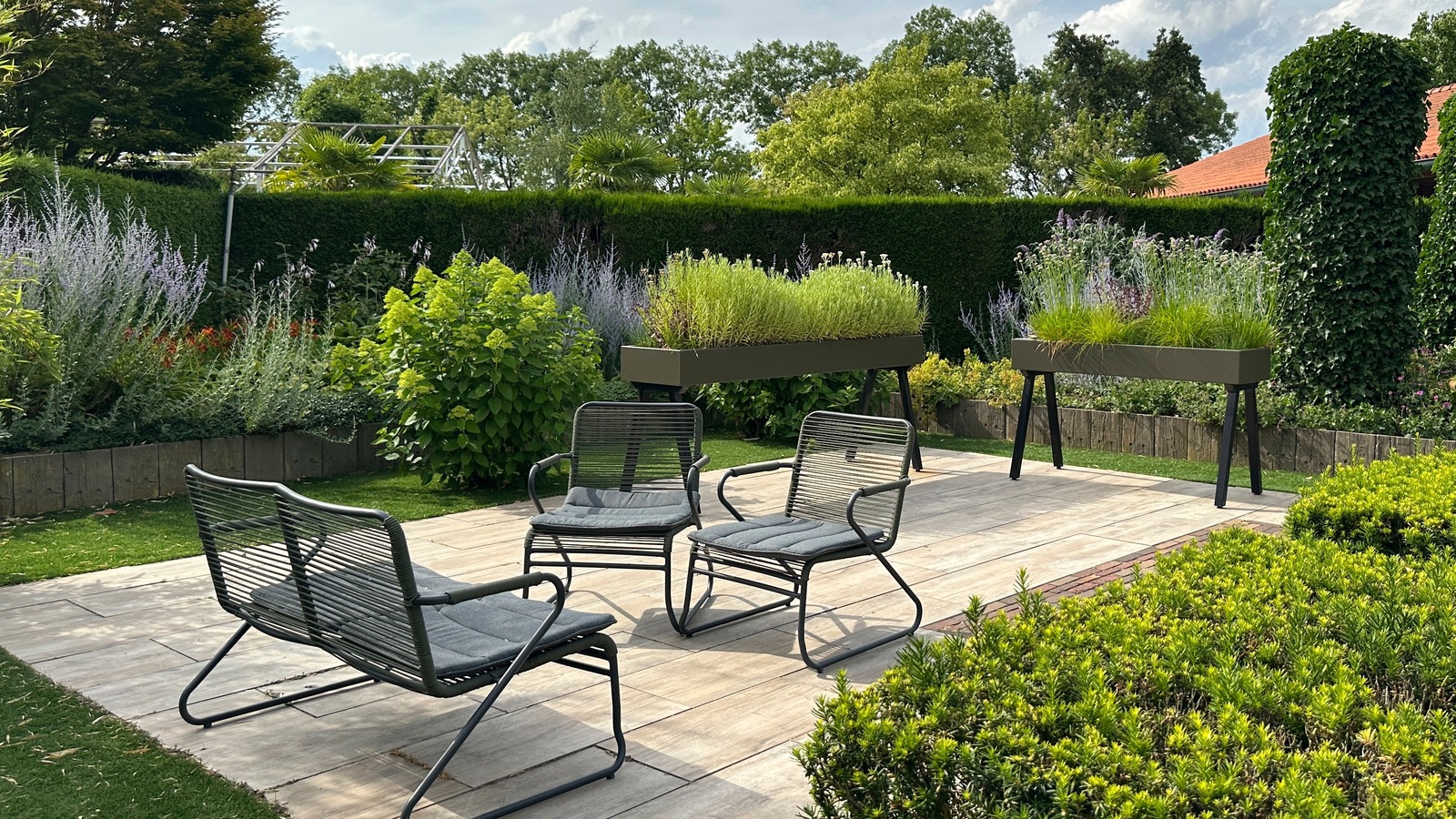 The Type Of Ligustrum Tree That's Perfect For Growing In Containers