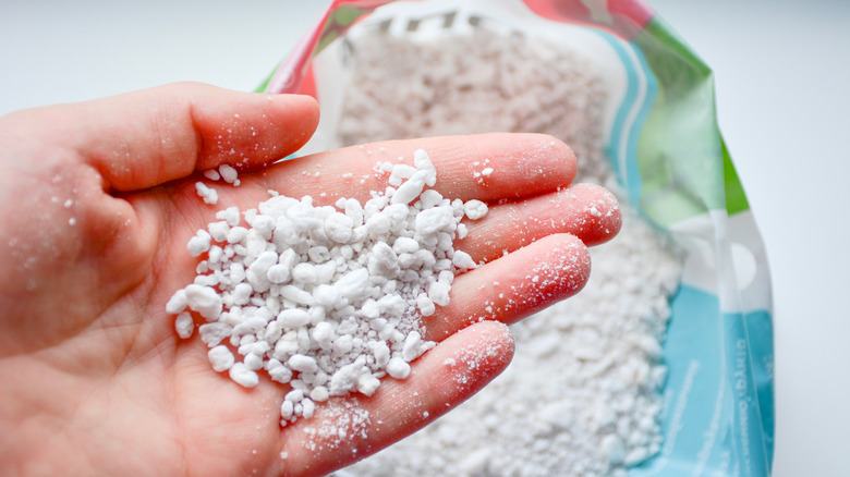 A person holds small perlite pieces from a bag in their hand.