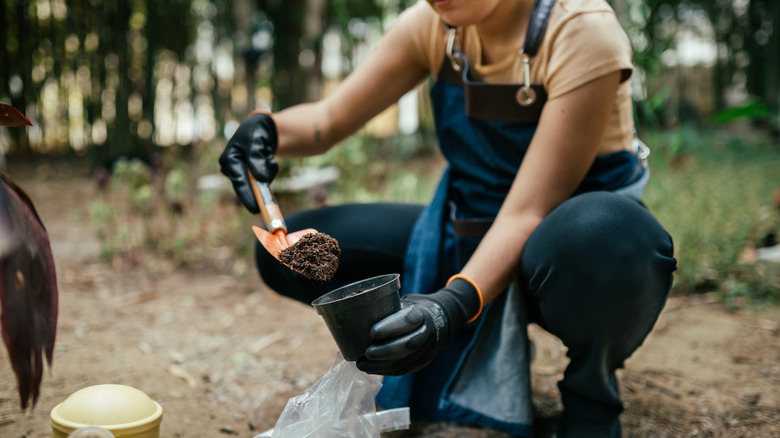 A gardener adds soil to small plastic flower pot with a trowel.