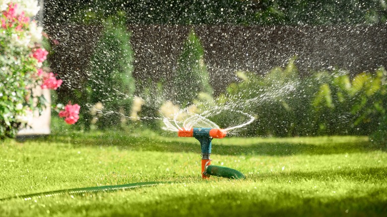 Spinning watering green lawn