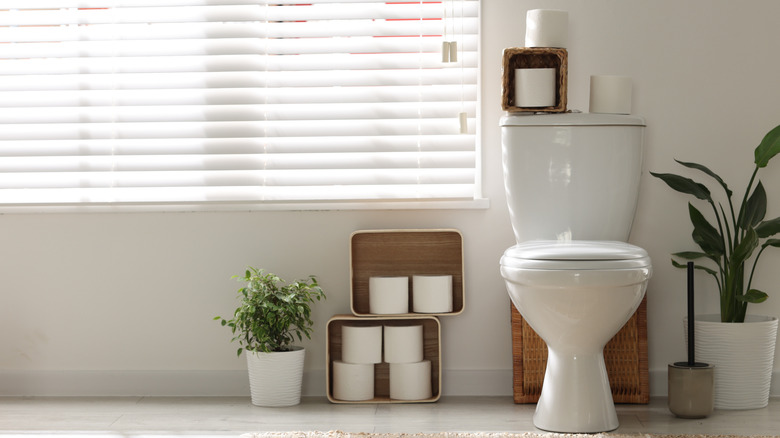Toilet paper roll on holder