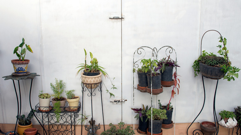 A variety of vintage iron planters