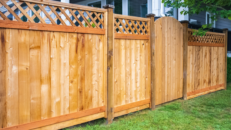 A tall wooden privacy fence stretches along a backyard