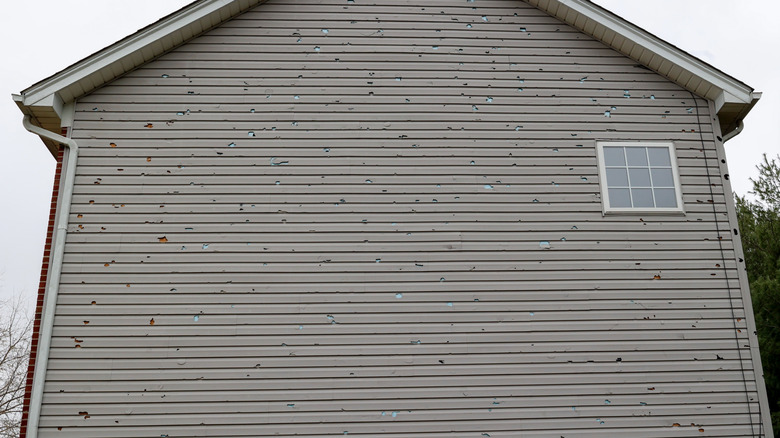 A vinyl-sided house, pitted with hail damage