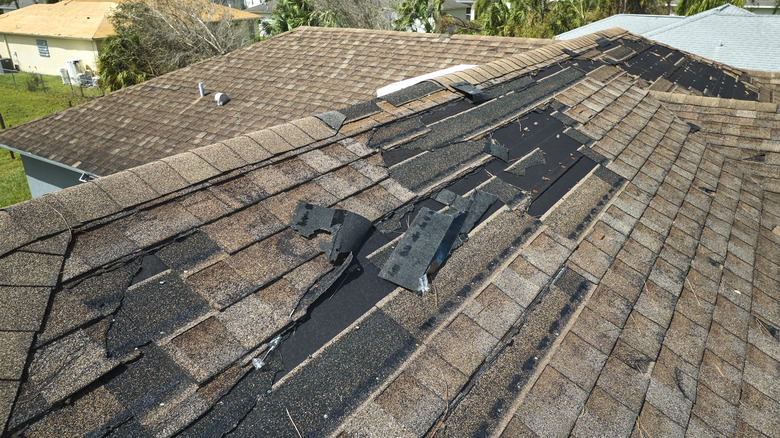 A wind-damaged roof with loose shingles