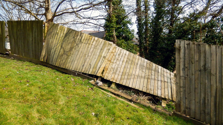 A wooden garden fence broken and leaning after a storm