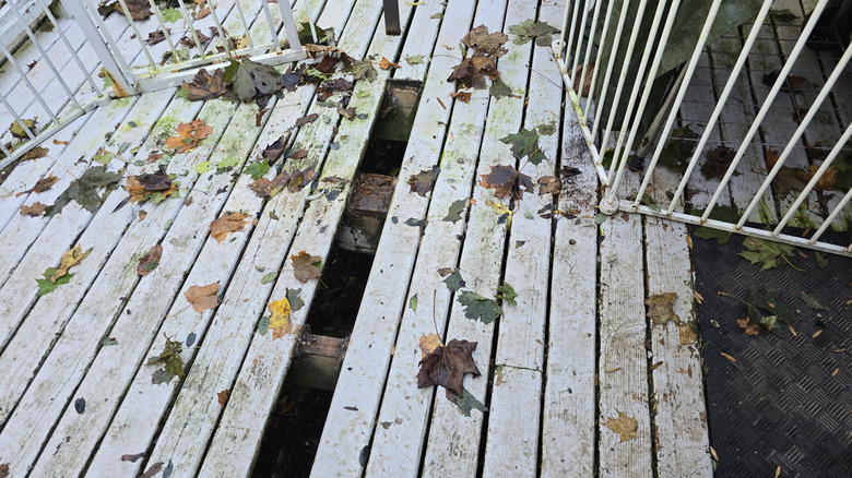A deck missing a board and strewn with fallen leaves