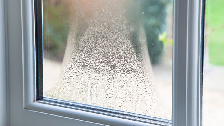 A double-glazed window with fogging between the panes, indicating a blown seal