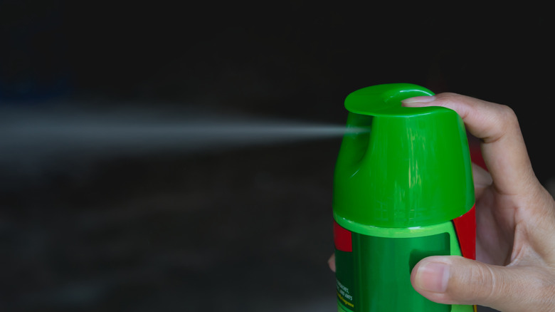 hand spraying insecticide