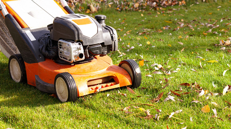 Push mower with fallen leaves on grass