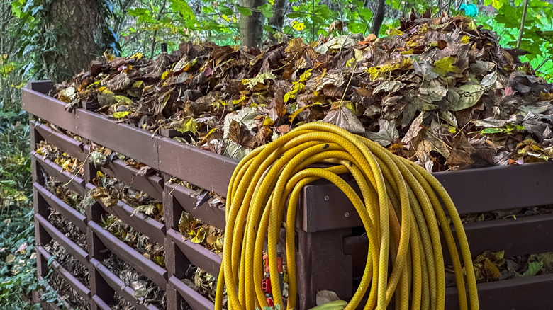 Compost pile of leaves in fenced in area