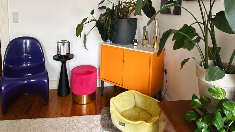 multicolor furniture in living room