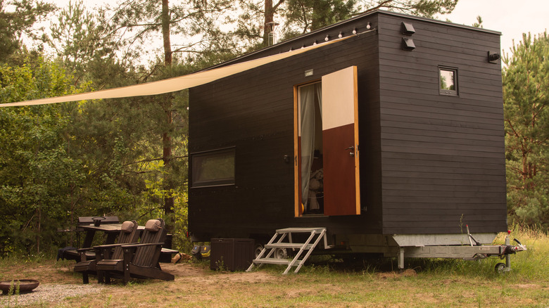 A black tiny home on wheels sits on a wooded lot