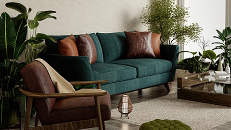 Living room with plants