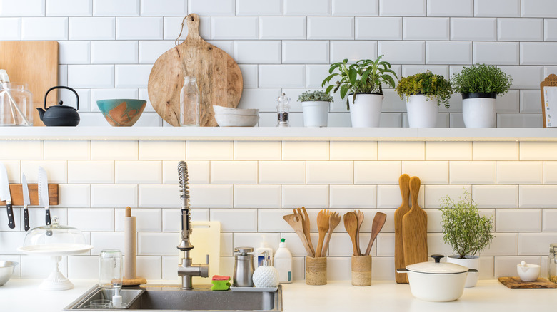A white kitchen with open shelves displaying kitchen items and potted plants