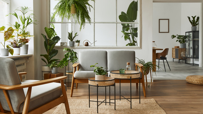 Scandinavian living room with plants