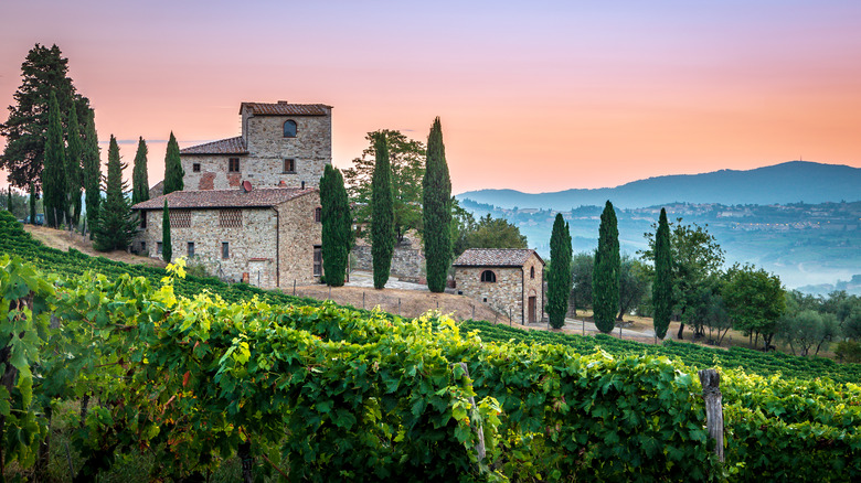 Tuscan villa in the countryside