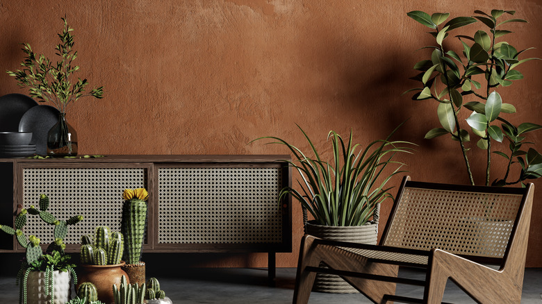 brown plaster wall and plants