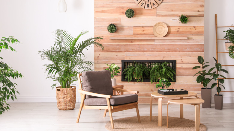 sitting area with plants