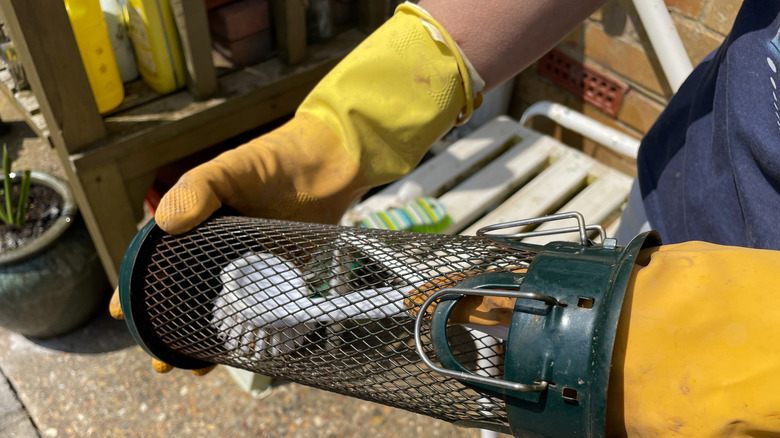 Cleaning the bird feeder